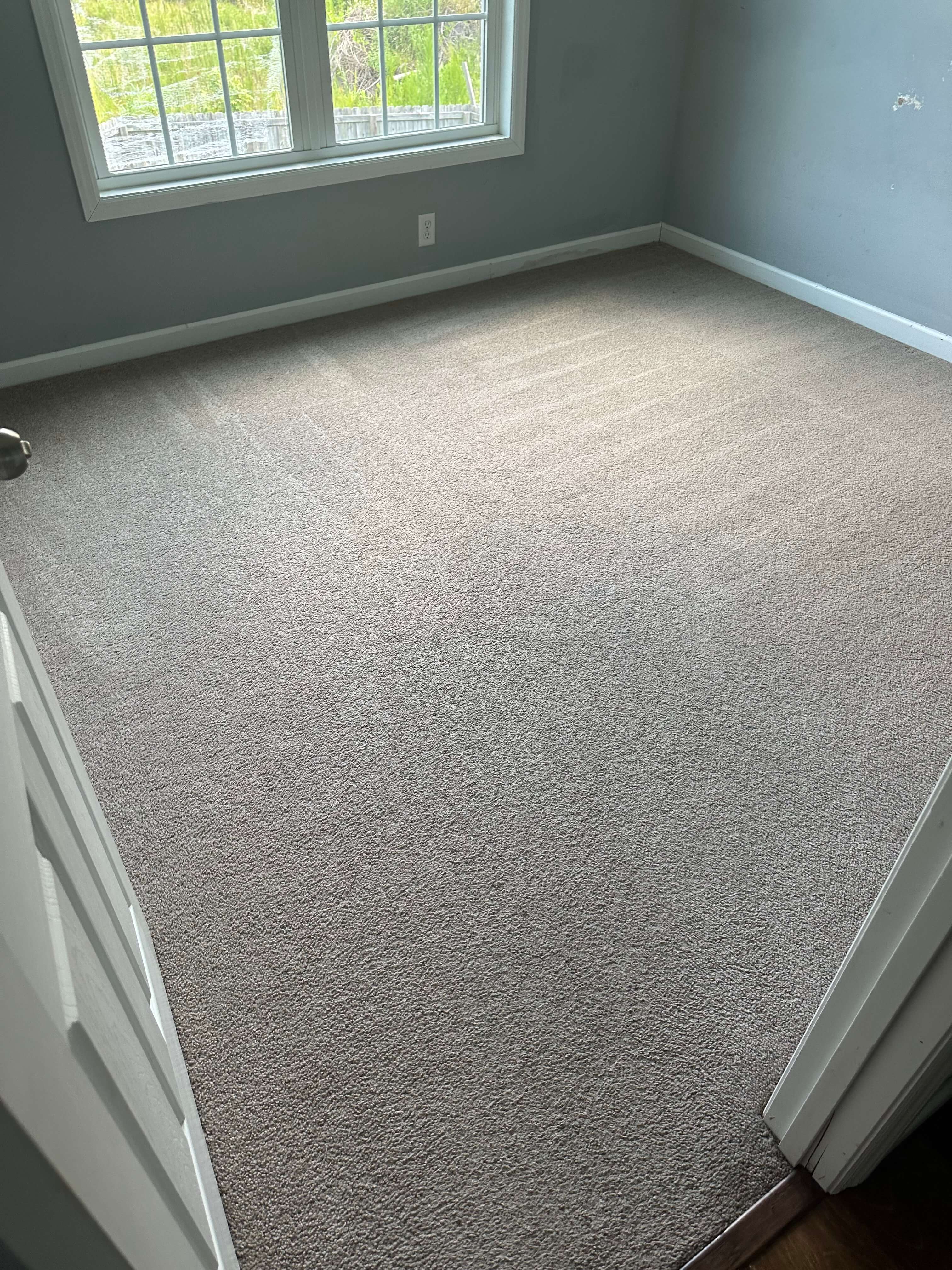 Carpet Cleaning